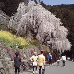 お見事です